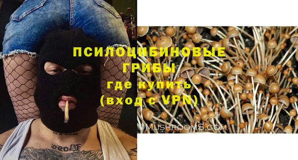 дживик Краснослободск