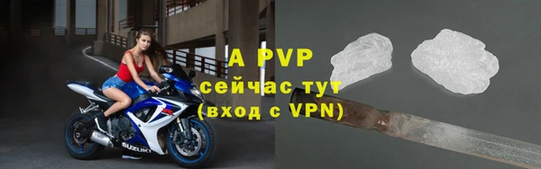 дживик Краснослободск