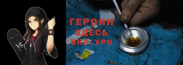 дживик Краснослободск