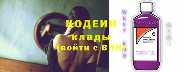 дживик Краснослободск