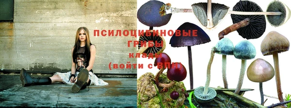 дживик Краснослободск