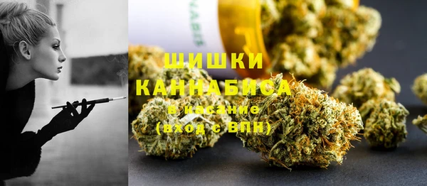 дживик Краснослободск