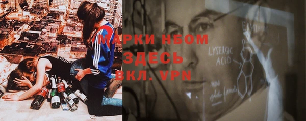 дживик Краснослободск