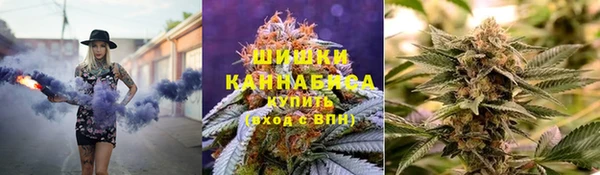 сатива Краснотурьинск