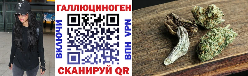 Купить где  Красногорск  Псилоцибиновые грибы Psilocybine cubensis 